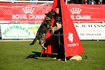 Amber van Hamersslag