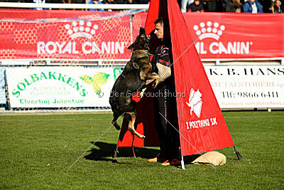 Amber van Hamersslag