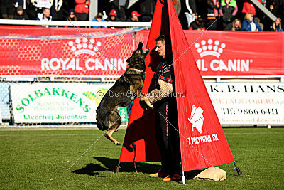 Amber van Hamersslag