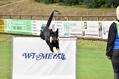 Amirah vom Peiner Burgpark