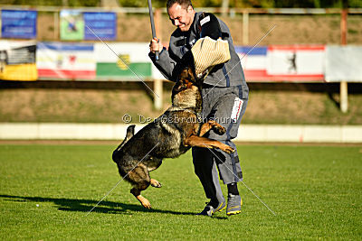 Amy von den goldenen Lorbeeren