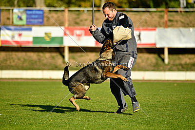 Amy von den goldenen Lorbeeren