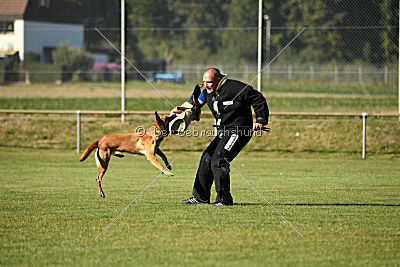 Amy von der schwarzen Mamba