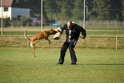 Amy von der schwarzen Mamba