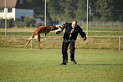 Amy von der schwarzen Mamba