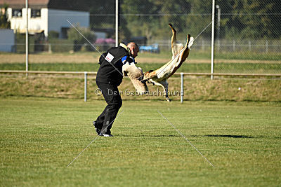 Amy von der schwarzen Mamba