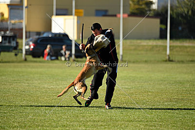 Amy von der schwarzen Mamba