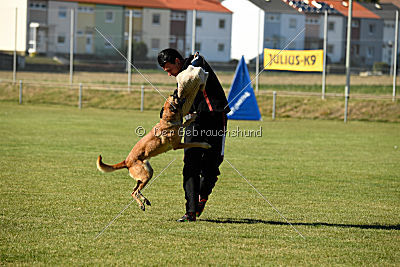 Amy von der schwarzen Mamba