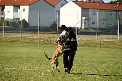 Amy von der schwarzen Mamba