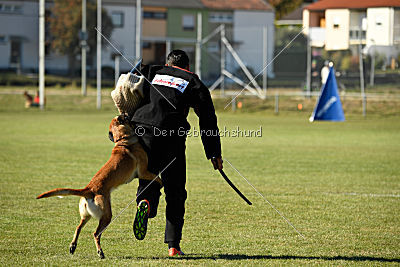 Amy von der schwarzen Mamba