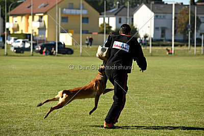 Amy von der schwarzen Mamba