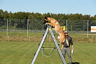Amy von der schwarzen Mamba