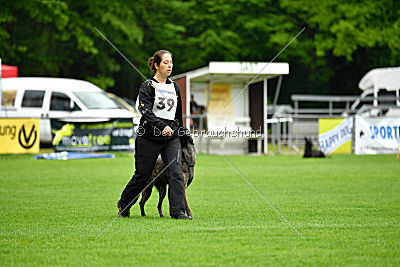 Amy's Yara von den Hohenheimer Herdern