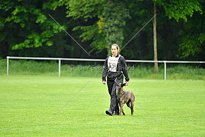 Amy's Yara von den Hohenheimer Herdern