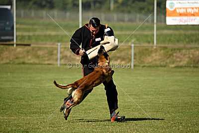 Anderl von Paccharun