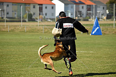 Anderl von Paccharun