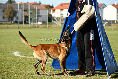 Anderl von Paccharun