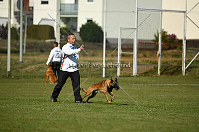 Anderl von Paccharun