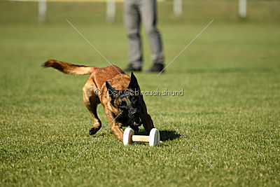 Anderl von Paccharun