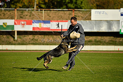 Andra vom Bergmanns-Weg