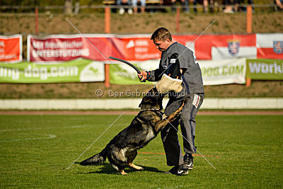 Andra vom Bergmanns-Weg