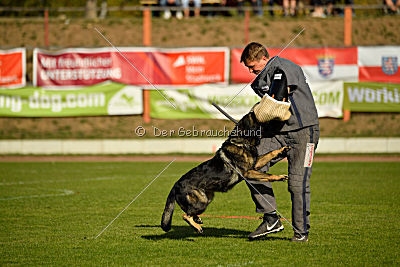 Andra vom Bergmanns-Weg