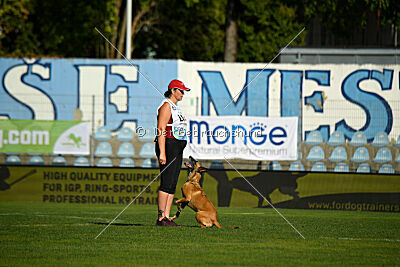 Angry Bird Manlihaus