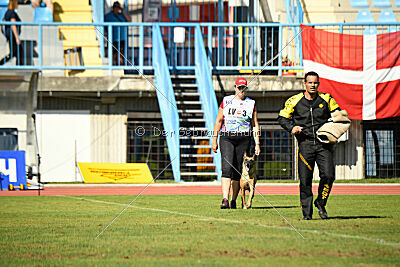 Angry Bird Manlihaus