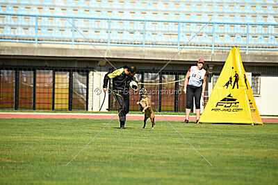 Angry Bird Manlihaus