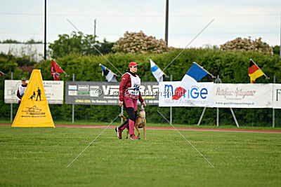 Angry Bird Manlihaus