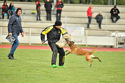 Angry Bird Manlihaus