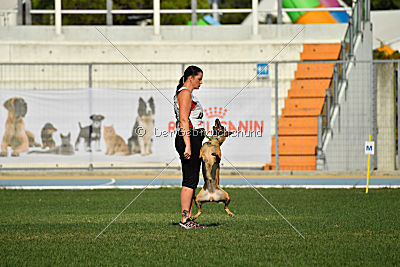 Angry Bird Manlihaus