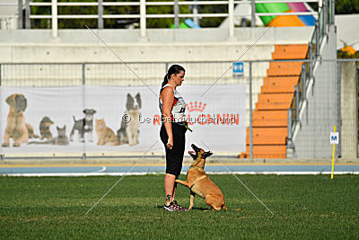 Angry Bird Manlihaus