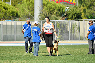 Angry Bird Manlihaus