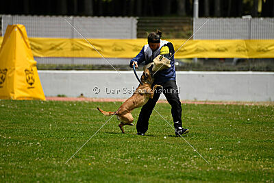 Angry Bird Manlihaus