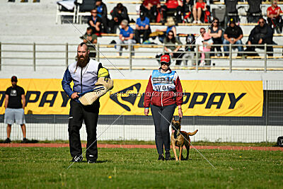 Angry Bird Manlihaus