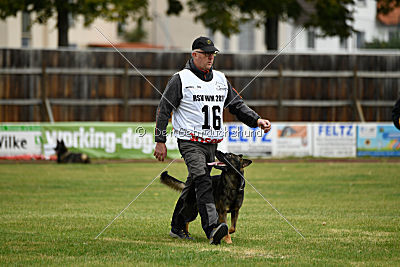 Angry von Starker Wille