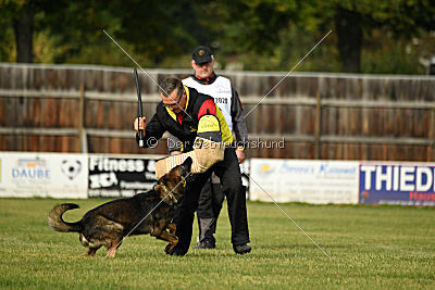 Angry von Starker Wille
