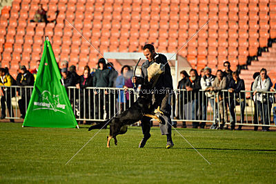 Anna vom Niederbühler Tor