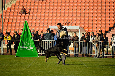 Anna vom Niederbühler Tor