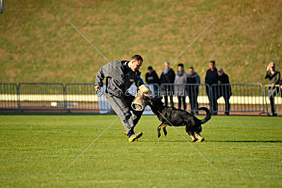 Anna vom Niederbühler Tor