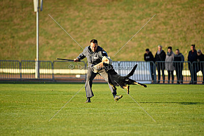 Anna vom Niederbühler Tor