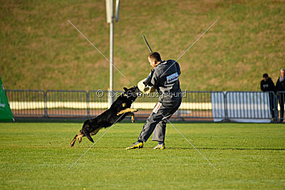 Anna vom Niederbühler Tor