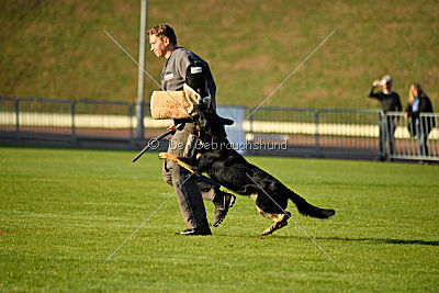 Anna vom Niederbühler Tor