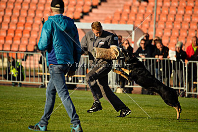 Anna vom Niederbühler Tor