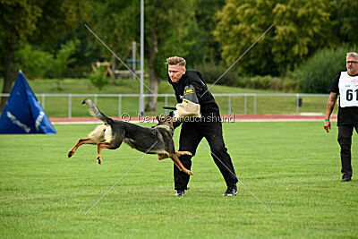 Annie von der lichten Tanne