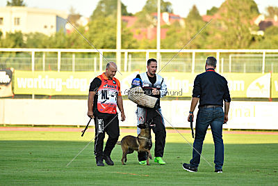 Anouk vom Münzenberg