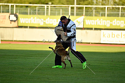 Anouk vom Münzenberg