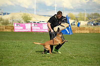 Anouka vom Mittelpunkt