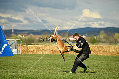 Anouka vom Mittelpunkt